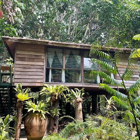 Fern Paradise Chiang Mai Eksteriør billede