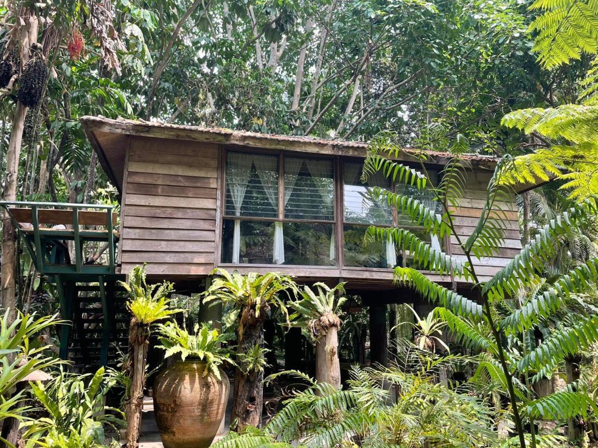 Fern Paradise Chiang Mai Eksteriør billede
