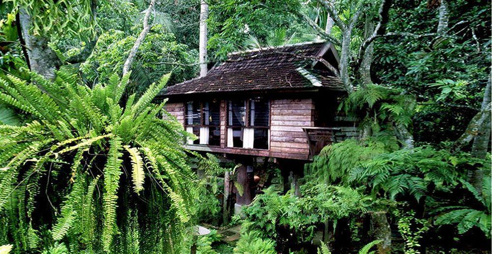 Fern Paradise Chiang Mai Eksteriør billede
