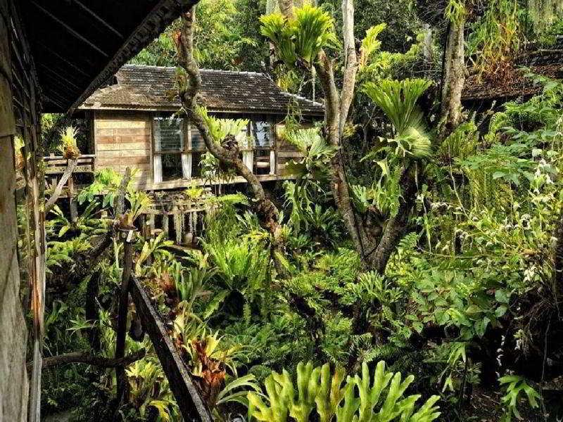 Fern Paradise Chiang Mai Eksteriør billede