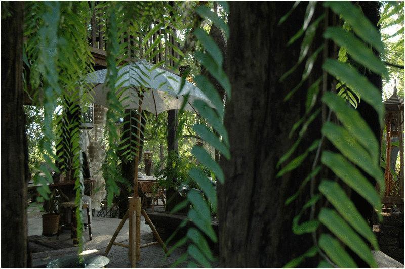 Fern Paradise Chiang Mai Eksteriør billede