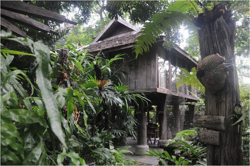 Fern Paradise Chiang Mai Eksteriør billede