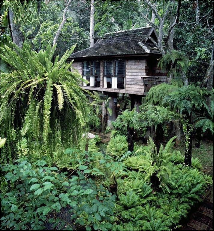 Fern Paradise Chiang Mai Eksteriør billede