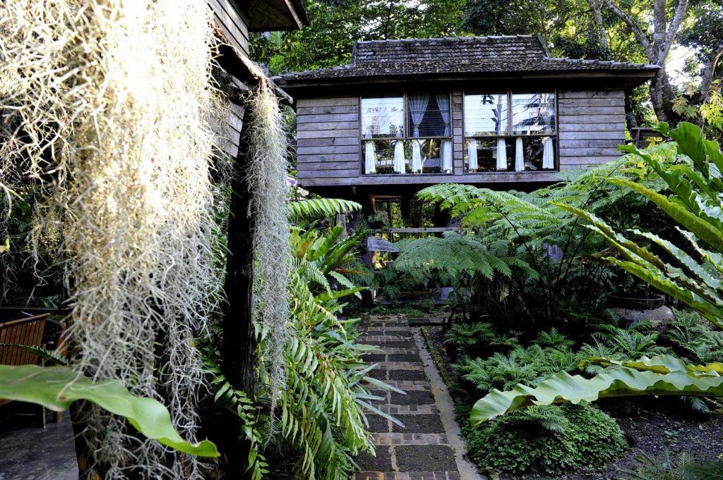 Fern Paradise Chiang Mai Værelse billede